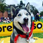 Profile Picture of Mike (@mike.huskey.6) on Instagram