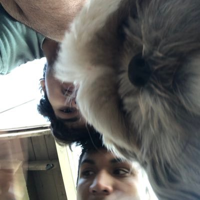 Profile Picture of Joey Solis (@quevigi) on Twitter
