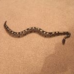 Profile Picture of James Eyles (@james.eyles1) on Instagram