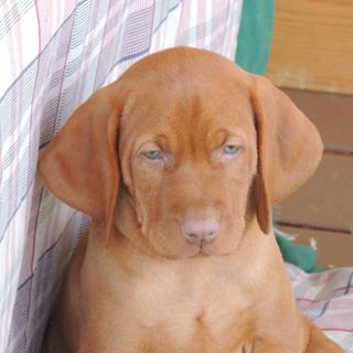 Profile Picture of Marilyn Thurston Roderick (@marilyn.roderick.9) on Facebook