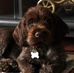 Profile Picture of John Pawlowicz (@john.pawlowicz) on Facebook