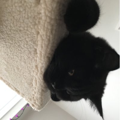 Profile Picture of Christopher Rud (@RudChristopher) on Twitter