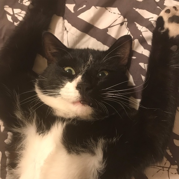 Profile Picture of Sabrina Challand (@sanzands) on Poshmark