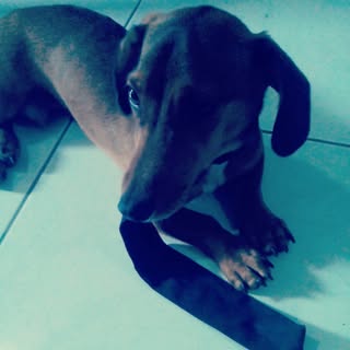 Profile Picture of PILAR MENDIOLA (@p_mendiola) on Instagram