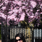 Profile Picture of Mam_jo (@mam_jo) on Flickr