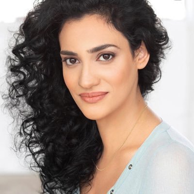Profile Picture of Sue Shaheen (@sueshaheen) on Twitter