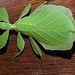 Profile Picture of paul Blight (@paulBlight4925) on Pinterest