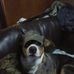 Profile Picture of Joel Haley (@joel.haley.5437) on Facebook