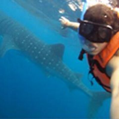 Profile Picture of William Zilliox (@WilliamZilliox) on Twitter