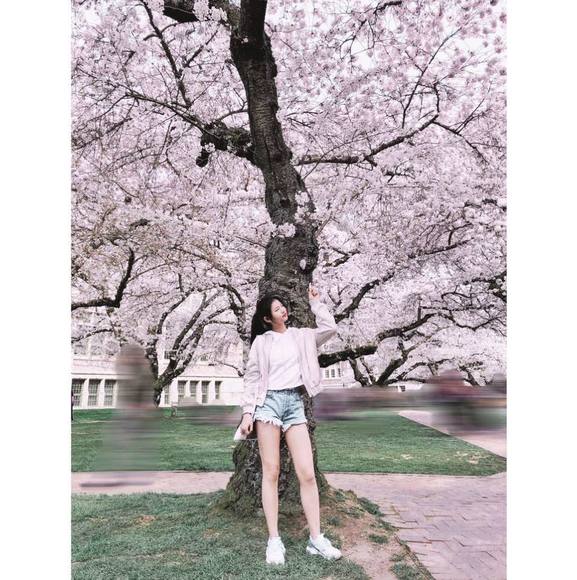 Profile Picture of Yiqing Qu (@yiqingqu) on Poshmark