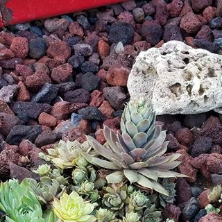 Profile Picture of Sandy Chilton (@sandy.chilton.94) on Facebook