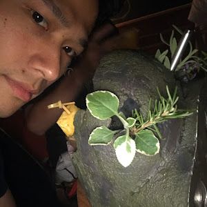 Profile Picture of Adam Chen (@adam.chen70) on Tiktok