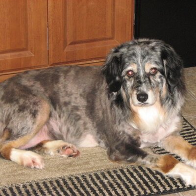 Profile Picture of John Stearns (@1johnjr) on Twitter