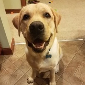 Profile Picture of David Nunley (@DavidNunley81) on Twitter