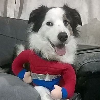 Profile Picture of Adam (@Adam_L_Griggs) on Twitter