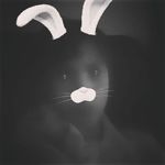 Profile Picture of Brett Bohnert (@brett_bohnert_1290) on Instagram