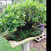 Profile Picture of Gonzalo Hernando Olarte Jimenez (@gonzalohernandoolartejimen7630) on Youtube