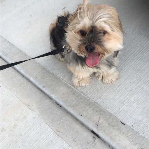 Profile Picture of Kathleen Gansner (@katgans) on Poshmark