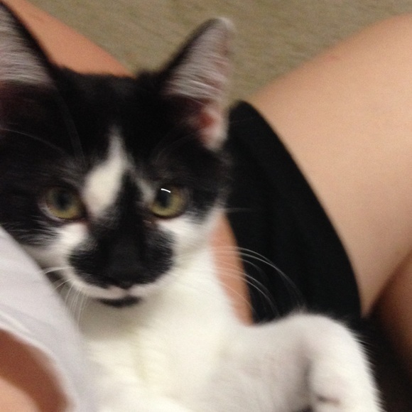 Bailey Keith - Poshmark Profile Picture of Bailey Keith (@ilovehopper) on Poshmark