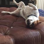 Profile Picture of Cathy Carroll Quinn (@cquiinz) on Instagram