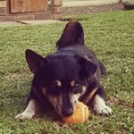 Profile Picture of Kim Farkas (@farkas_kim) on Instagram