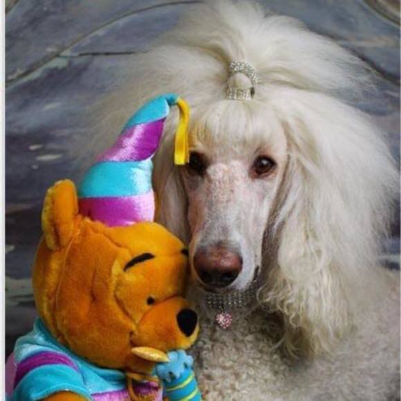 Profile Picture of Sa Gowan (@sagowan) on Poshmark