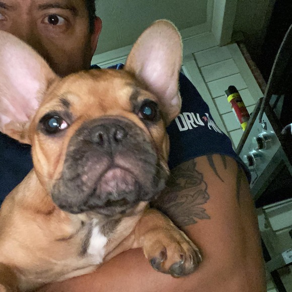 Profile Picture of Rico Rico (@ricorico567) on Poshmark