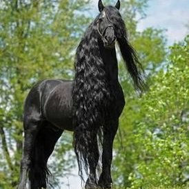 Profile Picture of Mandy Jungnickel-Thees (@MandyCora07) on Twitter