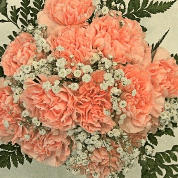 Profile Picture of Kirsten Bicksler (@kirstenbicksler) on Poshmark