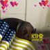 Profile Picture of Nick Bogle (@nick.bogle.98) on Facebook