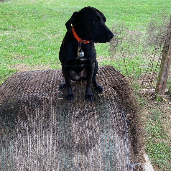 Profile Picture of Bennett Brooks (@bennettb5) on Poshmark