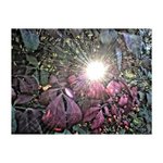 Profile Picture of Chad Millison (@chadmillison_) on Instagram