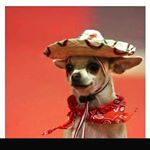 Isaiah Orozco - Instagram Profile Picture of Isaiah Orozco (@sum_brown_nigga) on Instagram