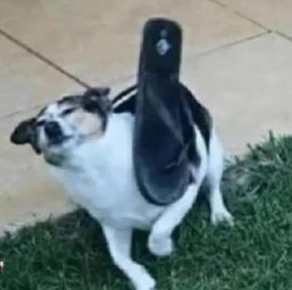 Profile Picture of Alex Ceniceros (@alex.ceniceros.90) on Facebook