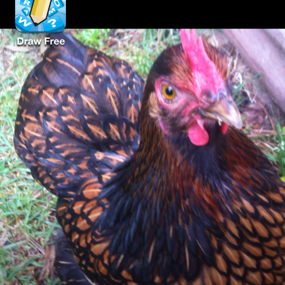 Gerda Sablowski - Poshmark Profile Picture of Gerda Sablowski (@flomagiu) on Poshmark