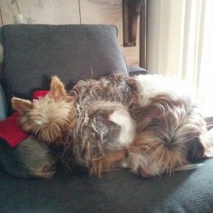 Profile Picture of April Thompson (@jerseygurl16) on Twitter