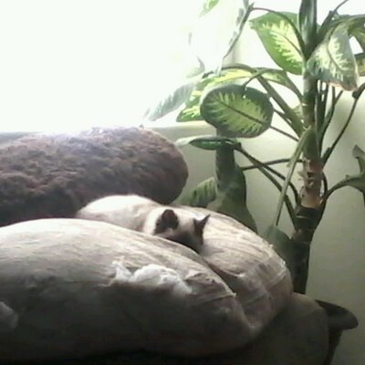 Profile Picture of Richard Barragan (@EdgeOut) on Twitter