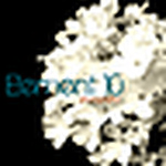 Profile Picture of Amanda Schultz (@element10photography) on Flickr