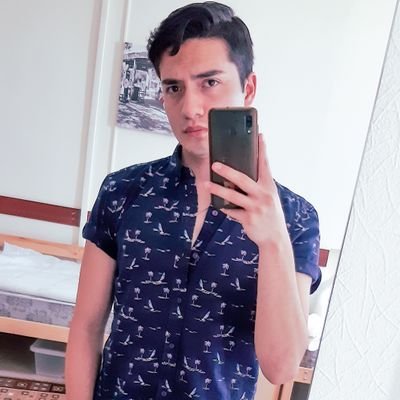 Profile Picture of Alex Llerena (@AlexLlerena17) on Twitter