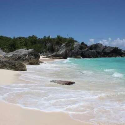 Profile Picture of Kate Sousa (@katesousa1227) on Twitter