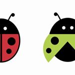 Profile Picture of Ateliê LadyBug by Lucy Pires (@atelie.ladybug) on Instagram