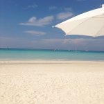 Profile Picture of Rocío M. Bolaños (@rocibol) on Instagram