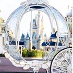 Profile Picture of Dinah Palmer Shuttleworth (@dinahshuttleworth) on Instagram