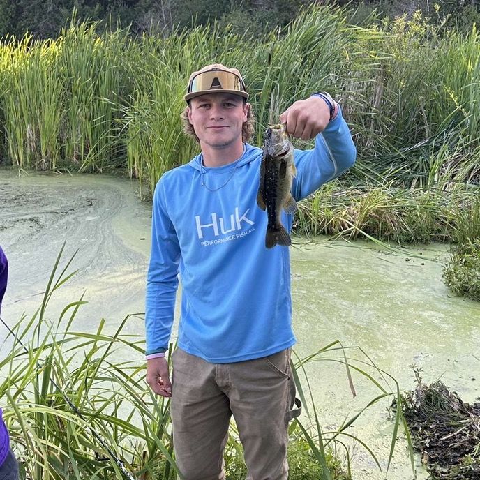 Profile Picture of jake andrew (@jakerandrew) on Tiktok