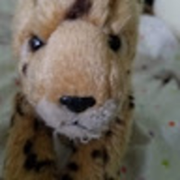 Profile Picture of Kate Mclauchlin (@katiejm534) on Poshmark