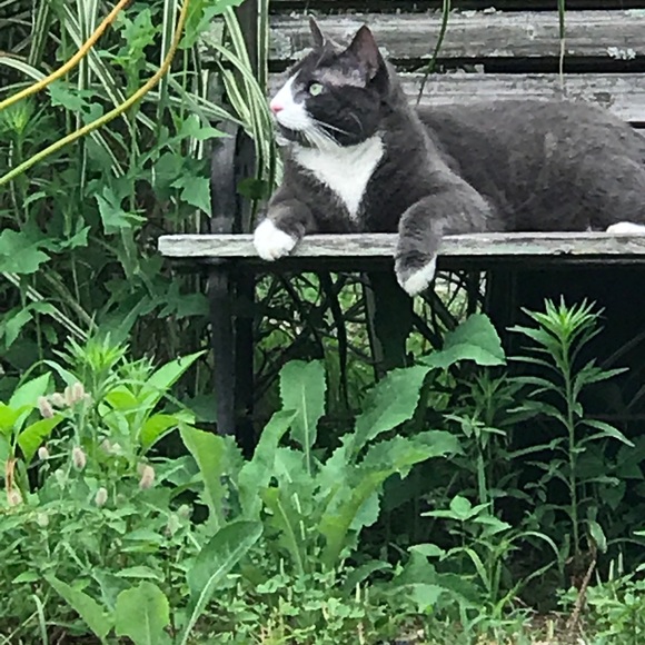 Profile Picture of Lauri Larlham (@lauri_larlham) on Poshmark