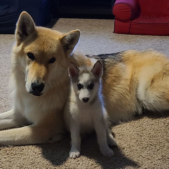 Profile Picture of Sunni Walker (@sunnia) on Poshmark