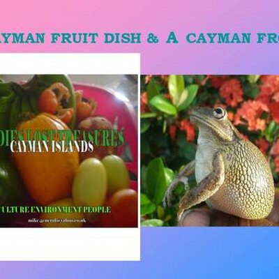 Profile Picture of Mike General (@generalmike) on Twitter