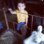 Profile Picture of Christian Gonzalez (@kristian.gonzalez.547) on Instagram