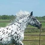 Profile Picture of Dawn Swope (@dawn.swope) on Instagram